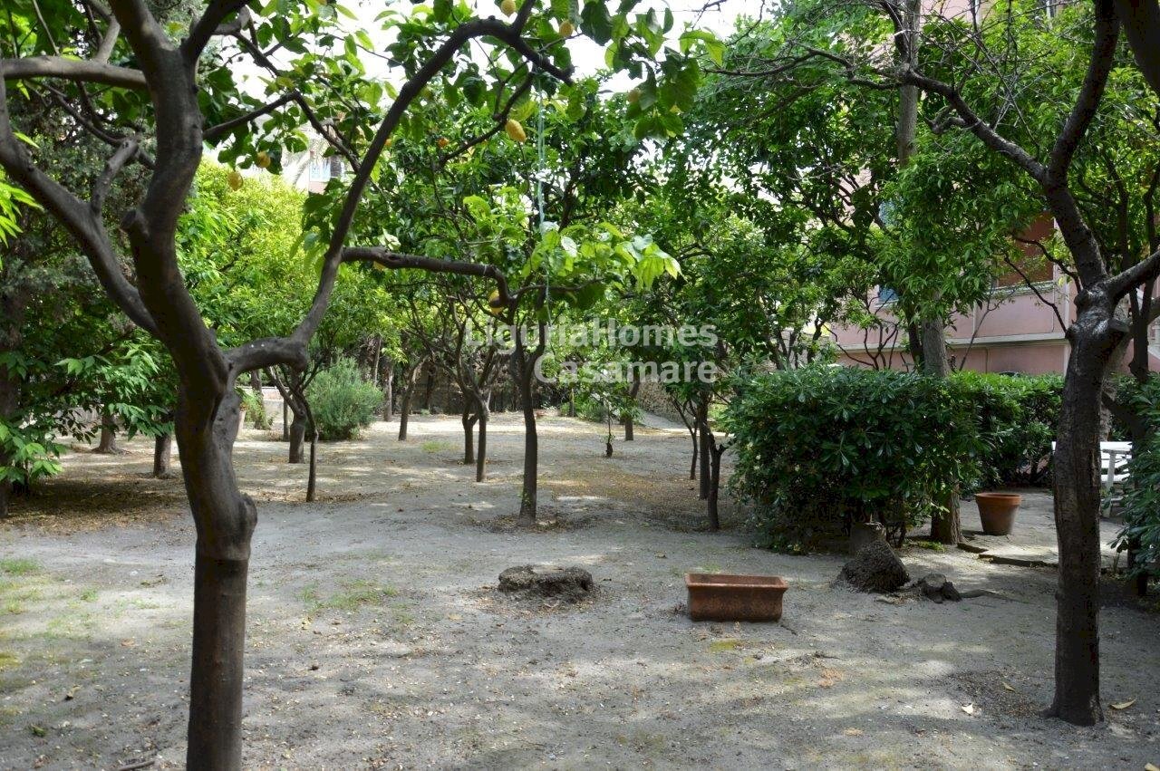 Foto 3 - Villa Via Al Mercato, Bordighera - foto 3