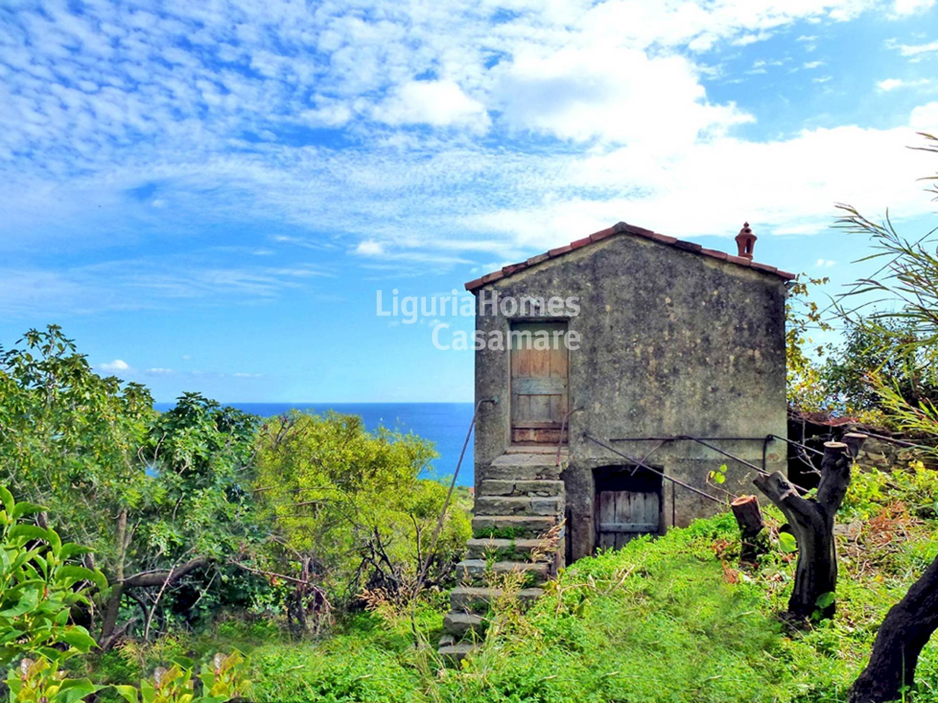 Foto 1 - Villa Via Bernora, Bordighera - foto 1