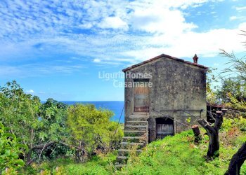 Foto 1 - Villa Via Bernora, Bordighera - foto 1