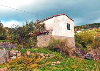 Foto 3 - Villa Via Bernora, Bordighera - foto 3