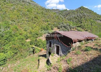 Foto 4 - Villa Strada Provinciale 65, Pigna - foto 4