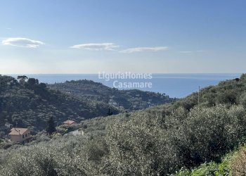 Foto 1 - Terreno edificabile Via Fanny Roncati Carli, Imperia - foto 1