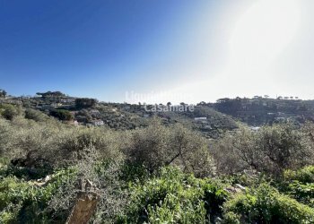 Foto 3 - Terreno edificabile Via Fanny Roncati Carli, Imperia - foto 3