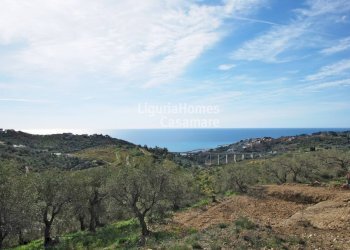 Foto 7 - Villa Strada Vicinale Aschere, Imperia - foto 7