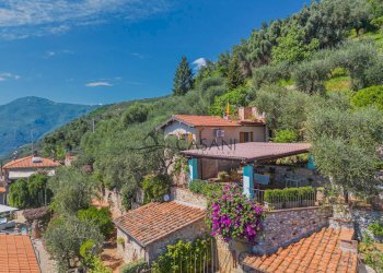 Foto 56 - Independent house Via di Buchignano
 
1, Camaiore - photo 56