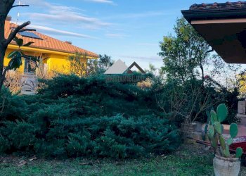 Foto 17 - Villa VIA CAMILLUCCIA, Misano Adriatico - foto 17