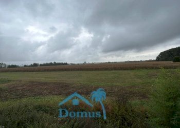 Foto 26 - Rustic Riva di Pinerolo
 
20, Pinerolo - photo 26