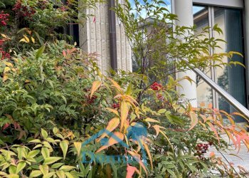 Foto 1 - Villa Viale della Rimembranza
 
86, Pinerolo - photo 1