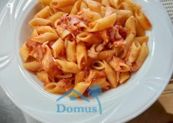 Foto 16 - Commercial Activity Stradale Val Pellice
 
102, Pinerolo - photo 16