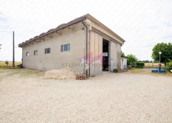 Foto 3 - Magazzino via Calto, Ceneselli - foto 3