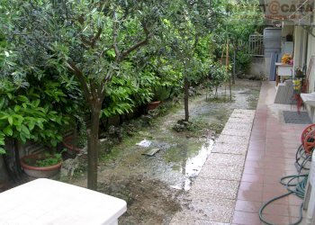 Foto 13 - Villa a Schiera Ascoli Piceno - foto 13