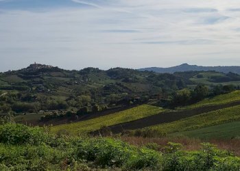 Foto 15 - Casa indipendente C.da Ferretti, Spinetoli - foto 15