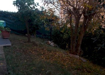 Foto 16 - Trilocale Castel di Lama - foto 16