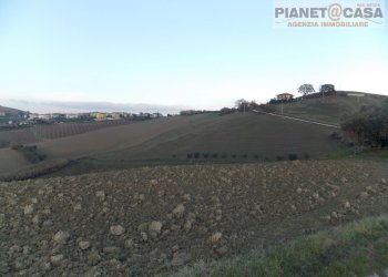 Foto 9 - Independent house Offida, Offida - photo 9