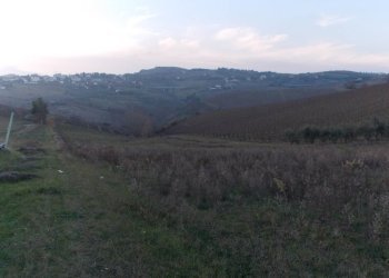 Foto 13 - Independent house Offida, Offida - photo 13