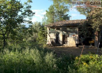 Foto 38 - Casa indipendente Monteprandone, Monteprandone - foto 38