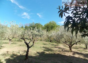 Foto 43 - Independent house Monsampolo del Tronto, Monsampolo del Tronto - photo 43