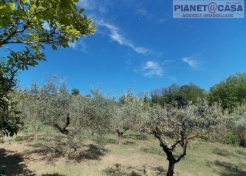 Foto 44 - Independent house Monsampolo del Tronto, Monsampolo del Tronto - photo 44