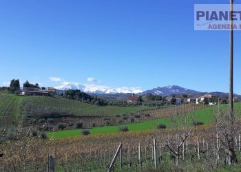 Foto 33 - Independent house Via San Lazzaro, Offida - photo 33