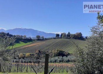 Foto 35 - Independent house Via San Lazzaro, Offida - photo 35