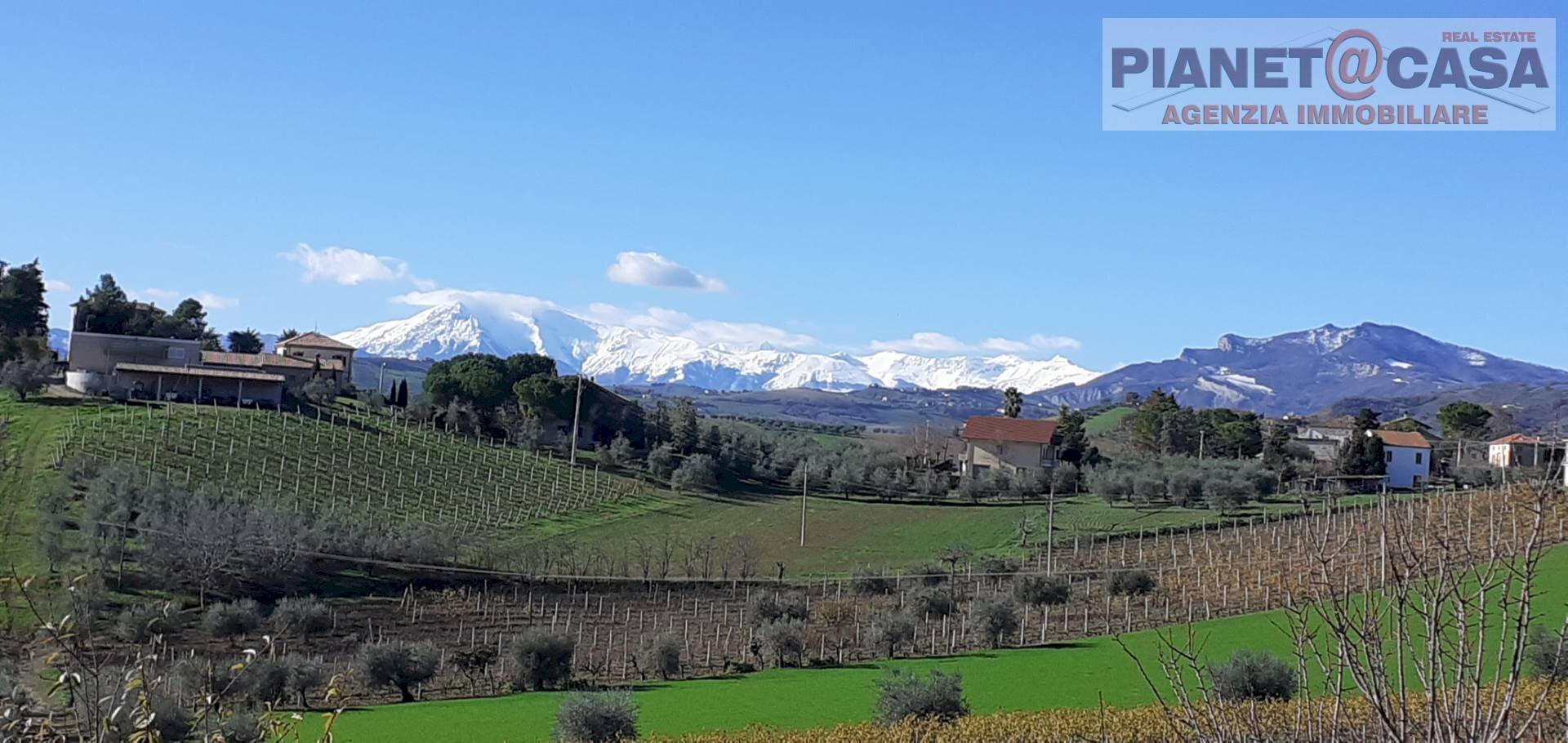 Foto 1 - Terreno agricolo Contrada San Lazzaro, Offida - foto 1