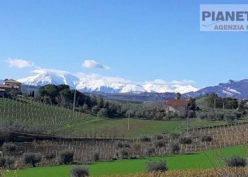 Foto 1 - Terreno agricolo Contrada San Lazzaro, Offida - foto 1