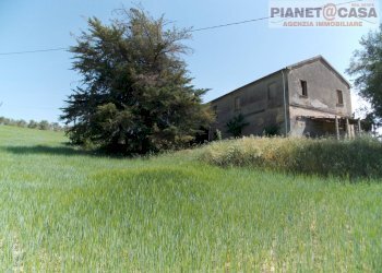 Foto 4 - Rustico Contrada Forola, Acquaviva Picena - foto 4