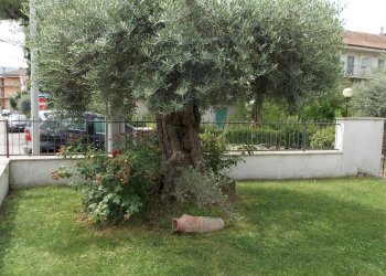 Foto 6 - Villa Via Salaria, Spinetoli - photo 6