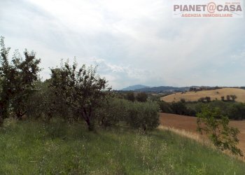 Foto 9 - Independent house Contrada Lava, Offida - photo 9