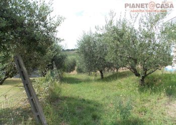 Foto 13 - Independent house Contrada Lava, Offida - photo 13