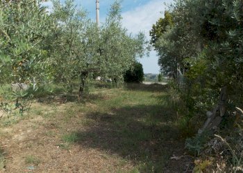 Foto 14 - Independent house Contrada Lava, Offida - photo 14