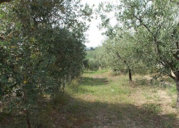 Foto 15 - Independent house Contrada Lava, Offida - photo 15