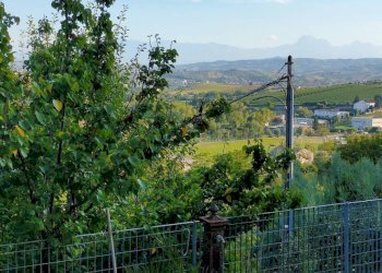 Foto 13 - Trilocale Contrada San Rocco, Ancarano - foto 13