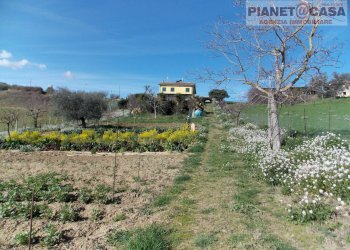 Foto 4 - Rustico Contrada Sant'Egidio, Monsampolo del Tronto - foto 4