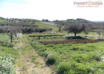 Foto 32 - Rustico Contrada Sant'Egidio, Monsampolo del Tronto - foto 32