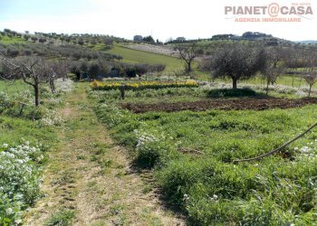 Foto 33 - Rustico Contrada Sant'Egidio, Monsampolo del Tronto - foto 33