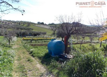 Foto 34 - Rustico Contrada Sant'Egidio, Monsampolo del Tronto - foto 34