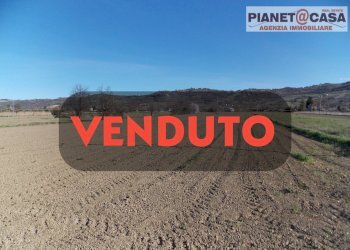 Foto 1 - Terreno agricolo Via Piave, Spinetoli - foto 1