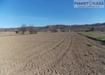 Foto 4 - Terreno agricolo Via Piave, Spinetoli - foto 4