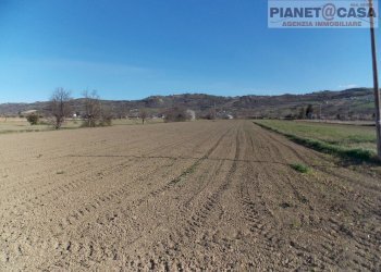 Foto 5 - Terreno agricolo Via Piave, Spinetoli - foto 5