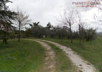 Foto 15 - Casa indipendente Via Salvatore a Torre, Sant'Omero - foto 15