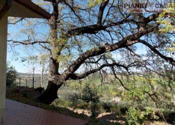 Foto 7 - Independent house Contrada Vivare, Colli del Tronto - photo 7