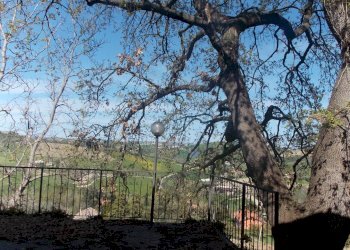 Foto 9 - Independent house Contrada Vivare, Colli del Tronto - photo 9