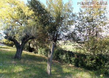 Foto 43 - Independent house Contrada Vivare, Colli del Tronto - photo 43