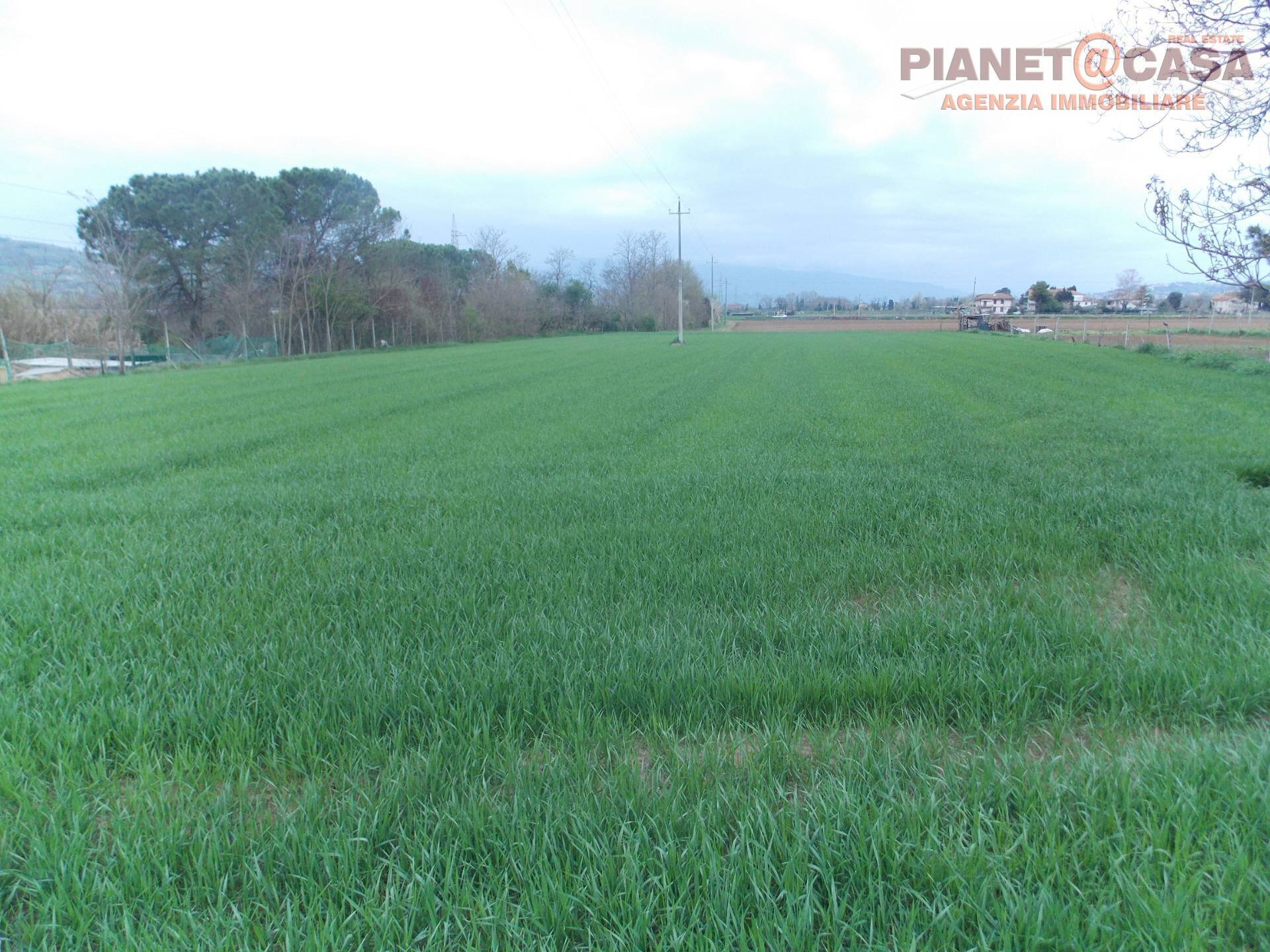 Foto 2 - Terreno edificabile Contrada San Mauro, Monsampolo del Tronto - foto 2