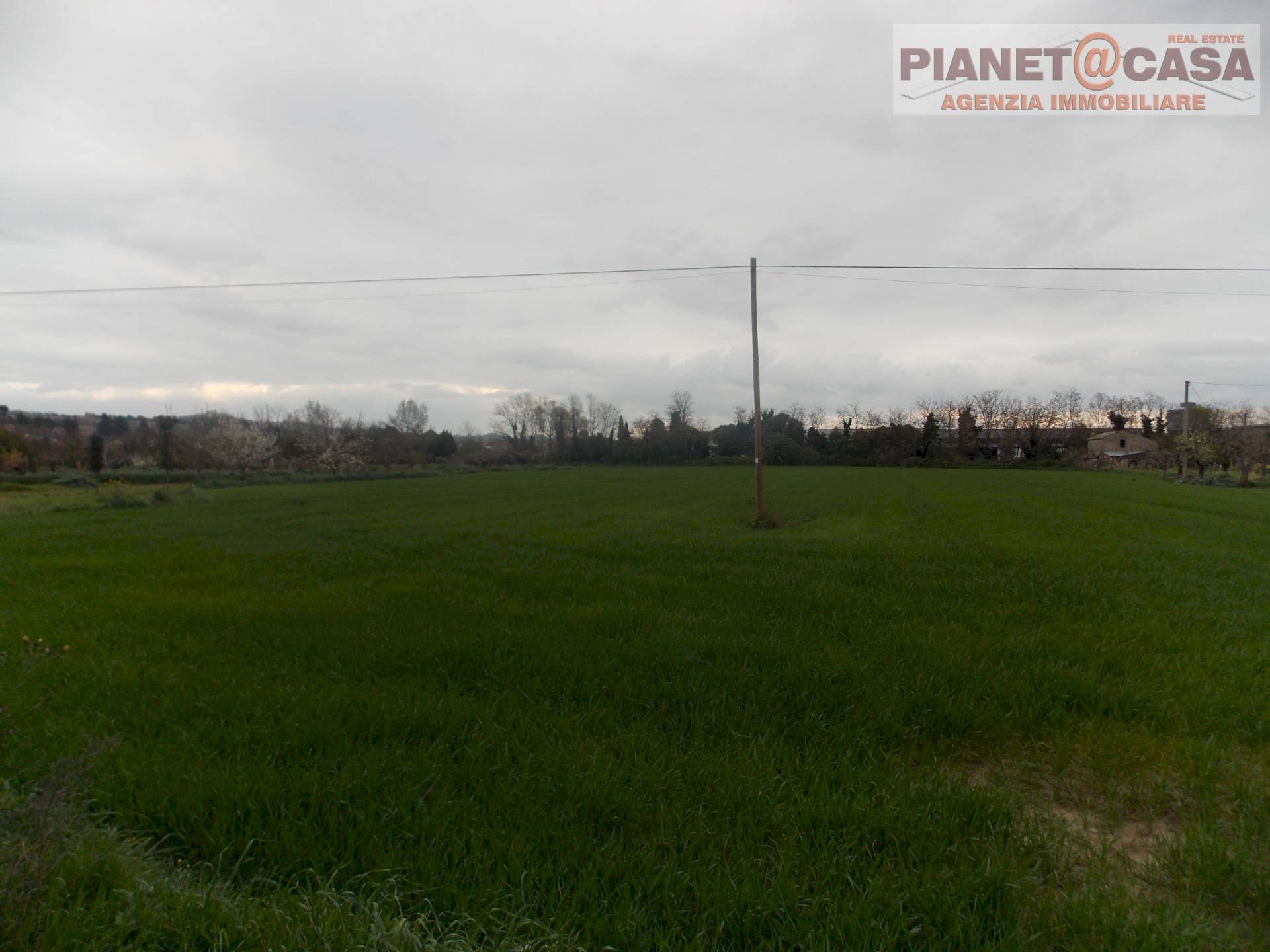 Foto 3 - Terreno edificabile Contrada San Mauro, Monsampolo del Tronto - foto 3