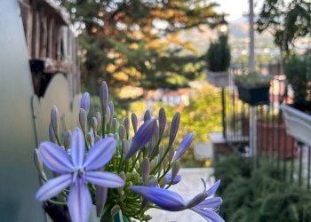 Foto 47 - Apartment San S. Silvestro, Castorano - photo 47