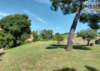 Foto 78 - Independent house Via Lava, Offida - photo 78