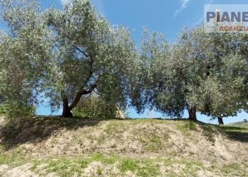 Foto 84 - Independent house Via Lava, Offida - photo 84