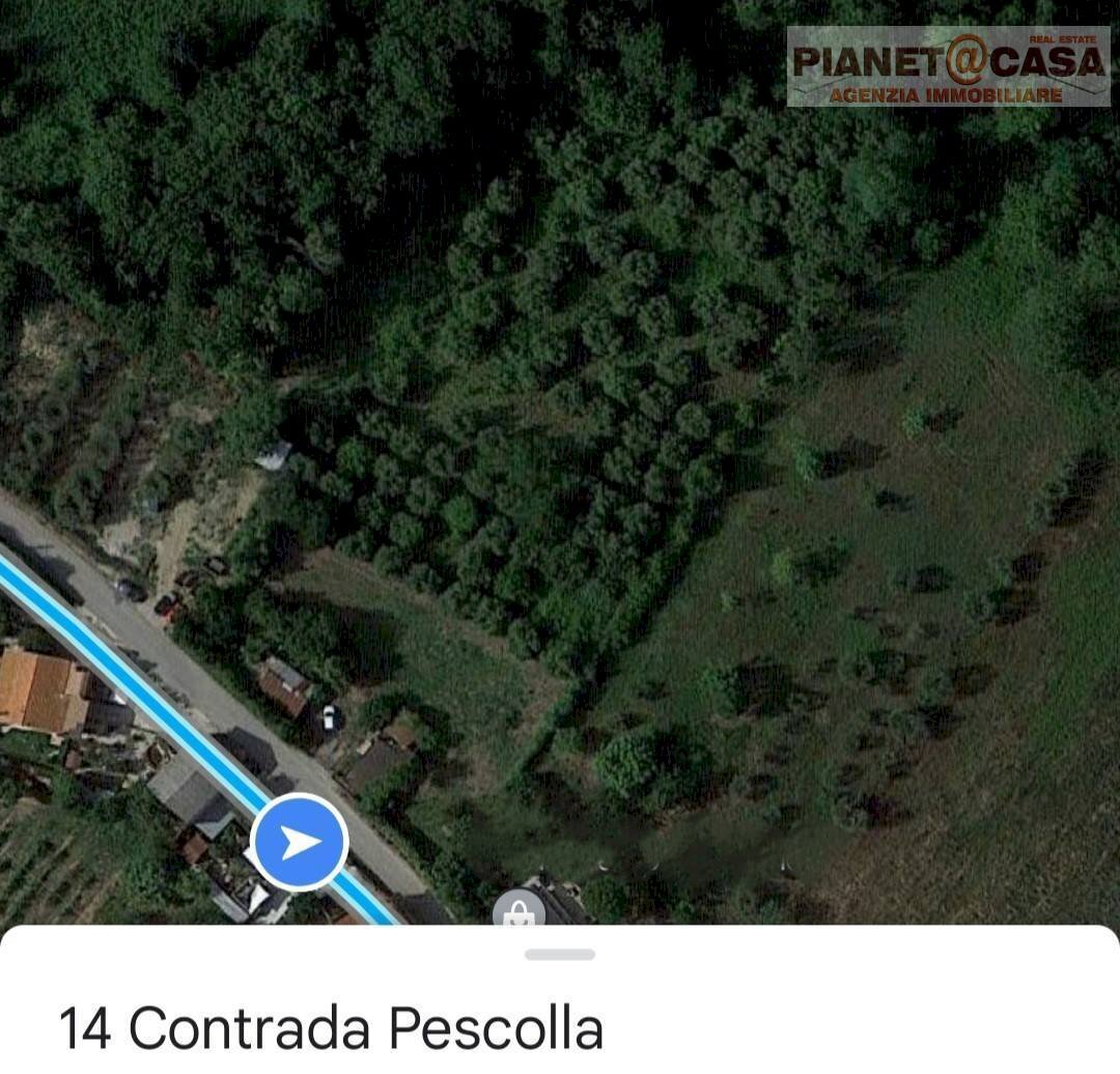 Foto 2 - Terreno agricolo Contrada Pescolla, Castorano - foto 2